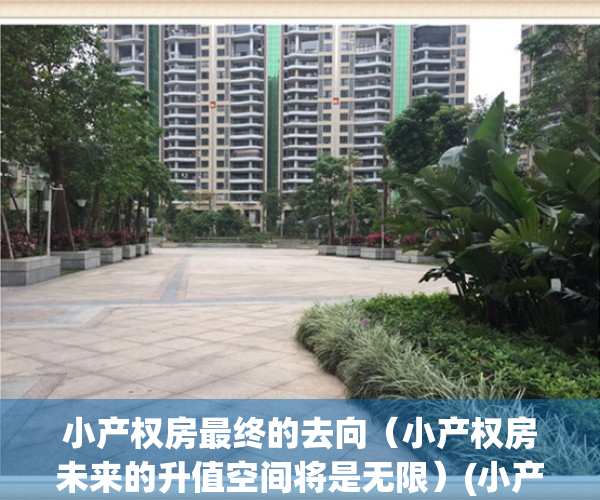小产权房最终的去向（小产权房未来的升值空间将是无限）(小产权房的出路何在)