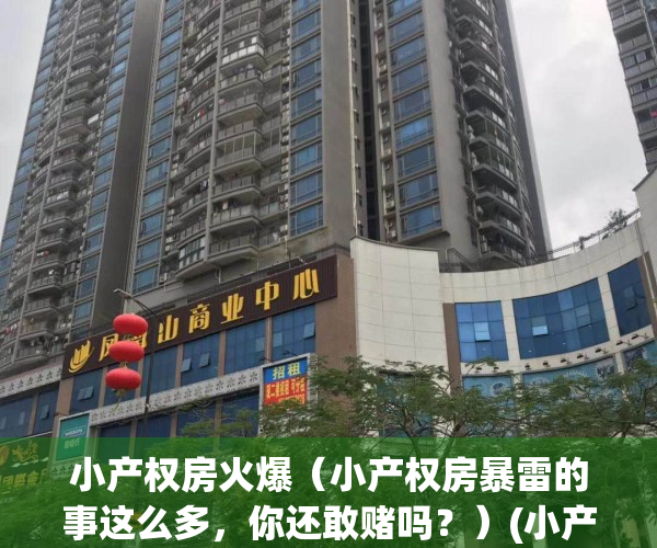 小产权房火爆（小产权房暴雷的事这么多，你还敢赌吗？）(小产权房出路)