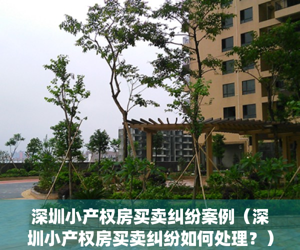 深圳小产权房买卖纠纷案例（深圳小产权房买卖纠纷如何处理？）(深圳小产权房交易整治风暴)