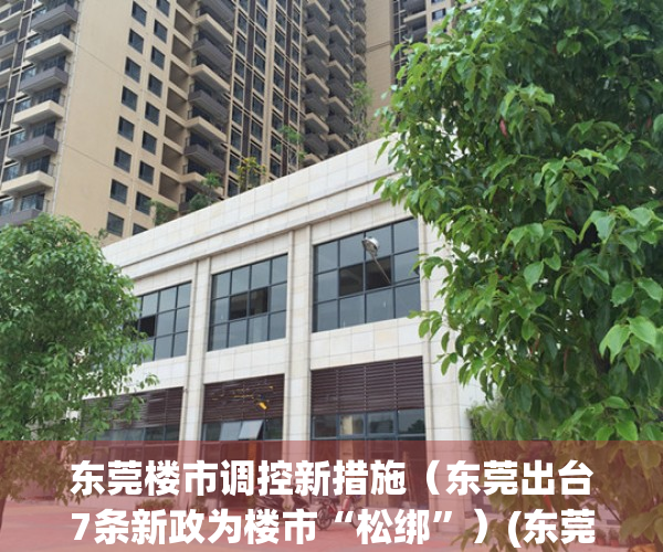东莞楼市调控新措施（东莞出台7条新政为楼市“松绑”）(东莞出台楼市新政对房价什么影响)